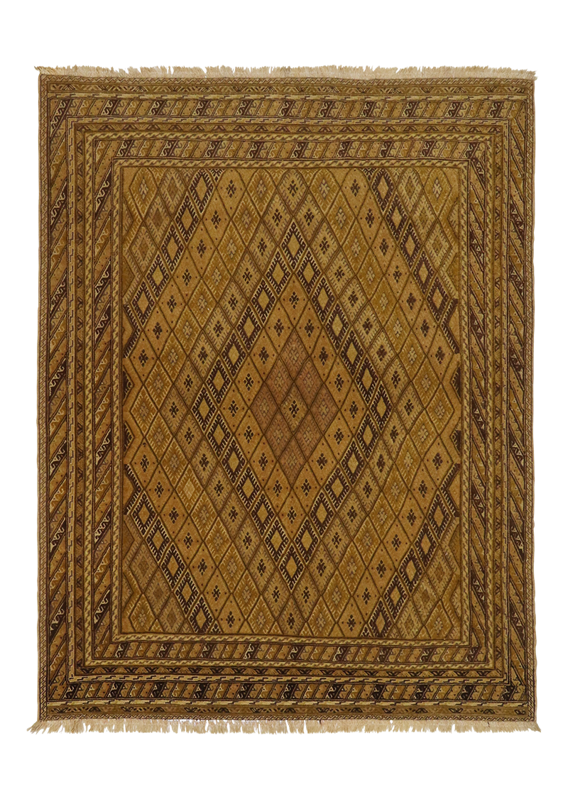Mashwani | 5'1" x 6'6"